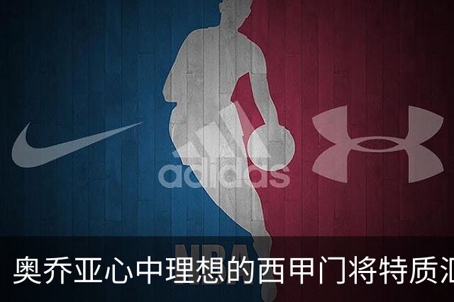 奥乔亚心中理想的西甲门将特质汇总
