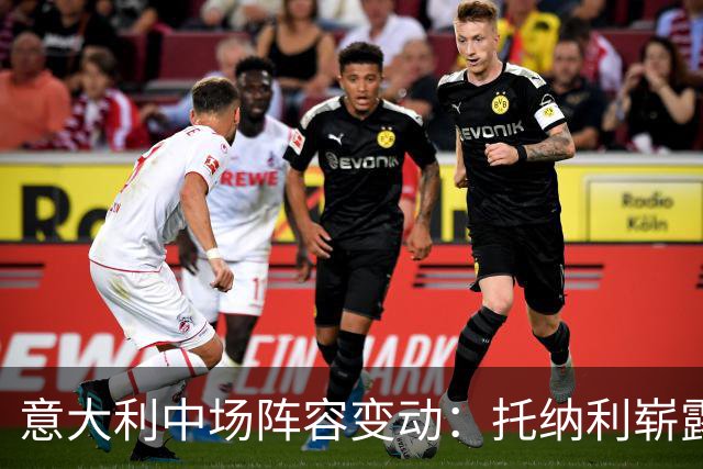 意大利中场阵容变动：托纳利崭露头角，巴雷拉失去固有位置